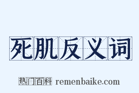 死肌反义词是什么意思的图片